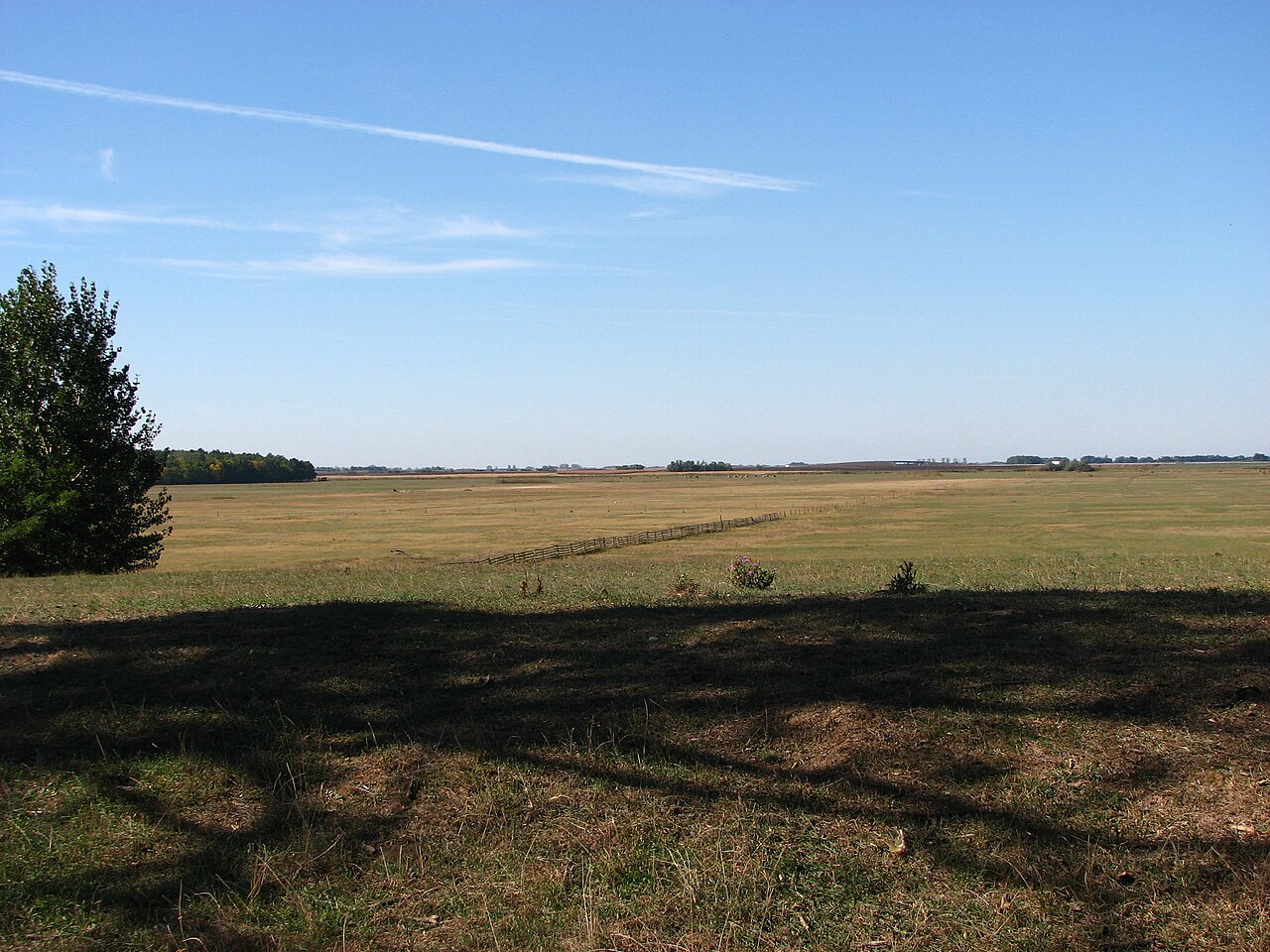 Great Hungarian Plain